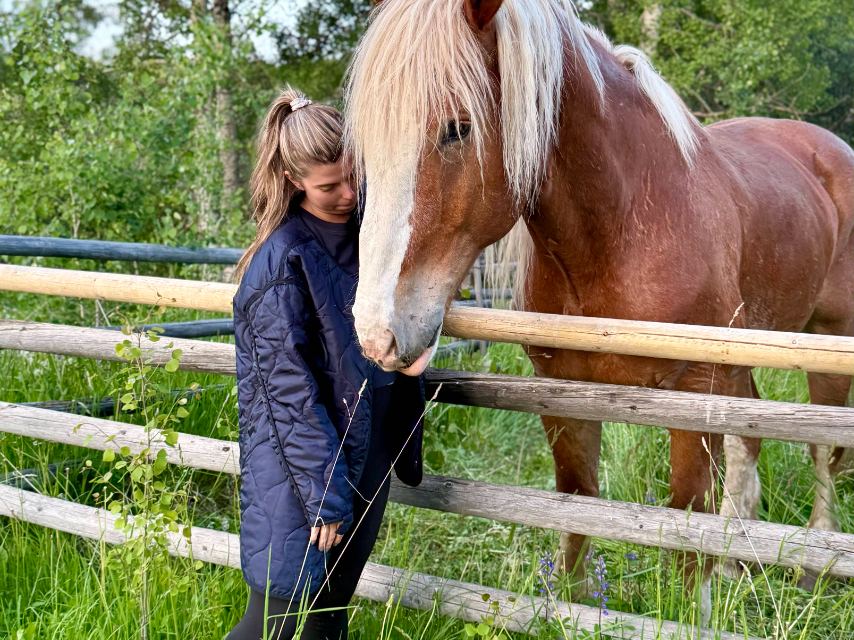 Alexsandra greeting Gus over a pasture fence