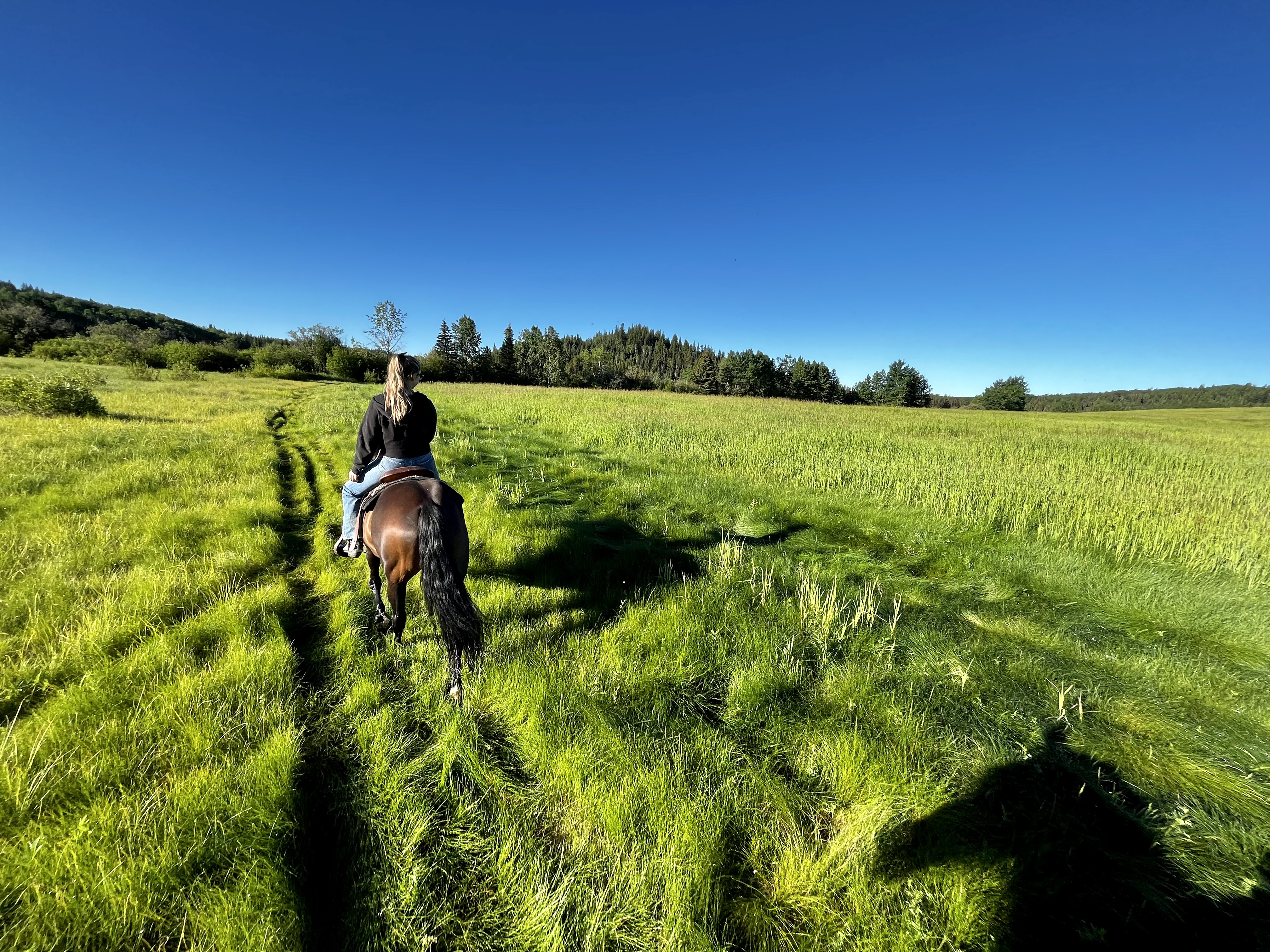 Riders on a trail